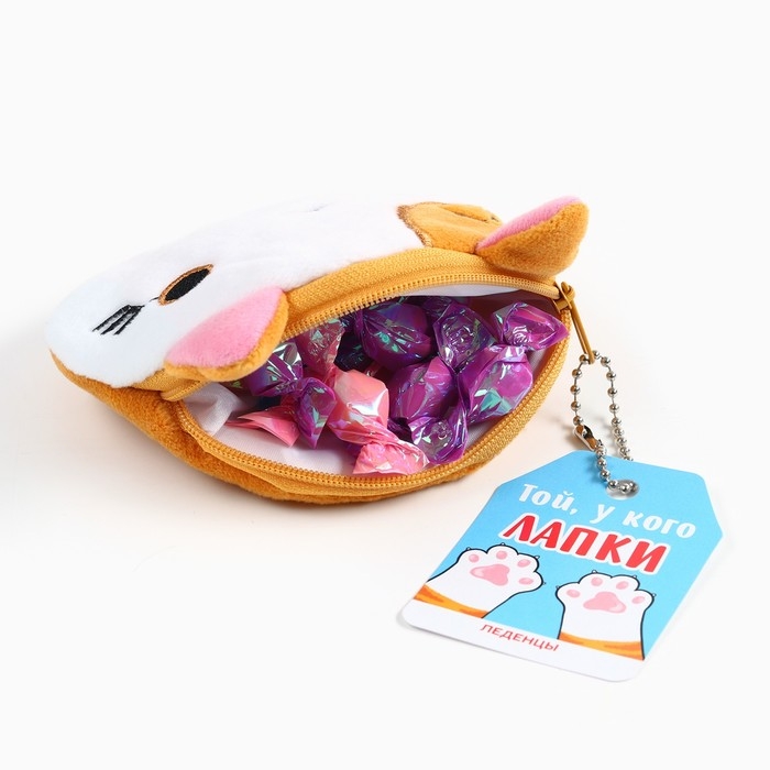 Леденцы &laquo;Лучший подарочек&raquo; в кошельке, со вкусом арбуза, 40 г.