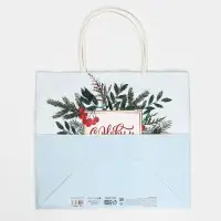 Пакет подарочный крафтовый «Рябина», 25 х 22 х 12 см Пакет подарочный крафтовый «Рябина», 25 х 22 х 12 см