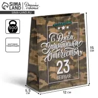 Пакет подарочный ламинированный, упаковка, &laquo;С 23 февраля&raquo;, S 12&times;15&times;5.5 см