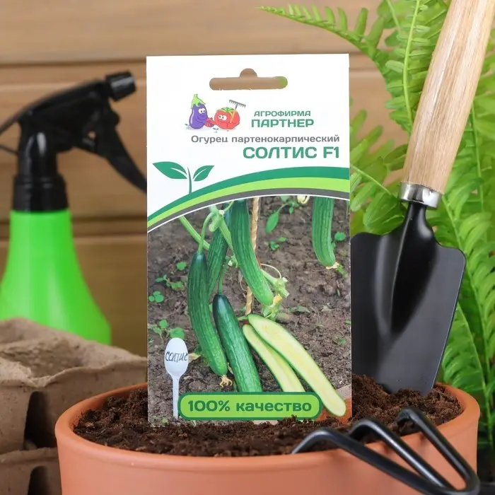Семена огурца Семена огурца "Солтис", F1, 5 шт.