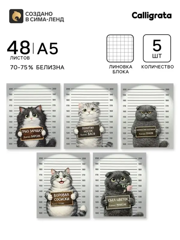 Тетрадь 5 штук, 48 листов в клетку Calligrata &laquo;Коты хулиганы&raquo;, серые листы, блок №2, 5 видов