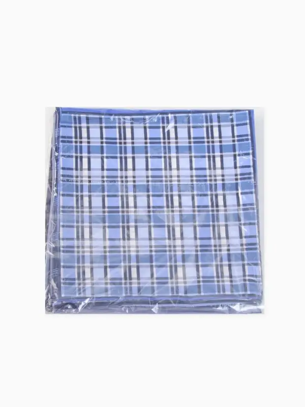 Платки носовые мужские Этель 30*30 см,(набор 12 шт,) цв. синий, рис. МИКС, 100% хл