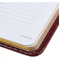 Ежедневник недатированный A6+, 136л, SIDNEY NEBRASKA бордовый 3-496/01