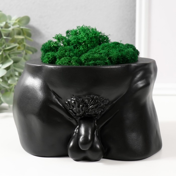 Кашпо бетонное Кашпо бетонное "Достоинство" со мхом высота 10 см,ширина 17 см черный (мох зеленый стабил)