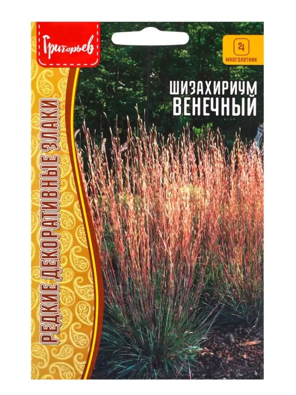Семена цветов Шизахириум Венечный 20 шт.  12.29 г.