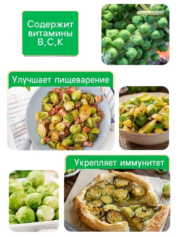 Семена Капуста брюссельская Семена Капуста брюссельская "Розелла", 0,3 г