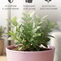 Горшок для цветов &laquo;Фиалочка&raquo;, 500 мл, d=12.5 см, h=7 см, пластиковый, сиреневый