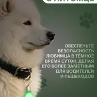 Световой маячок на ошейник, для больших и средних собак, фасовка 12 шт., пластик, металл, зелёный