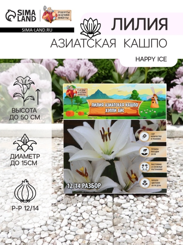Лилия Азиатская Кашпо Happy Ice, рлуковица в пакете с перфорацией, -р 12/14, 2 шт.