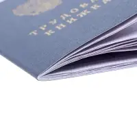 Бланк &laquo;Трудовая книжка&raquo; без голограммы