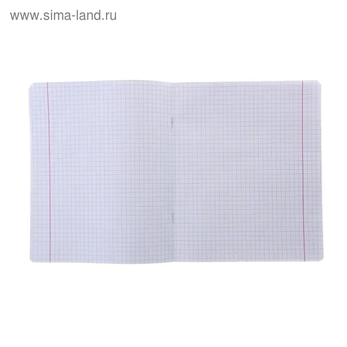 Тетрадь 24 листа клетка «Великолепная пятёрка», бумажная обложка, МИКС