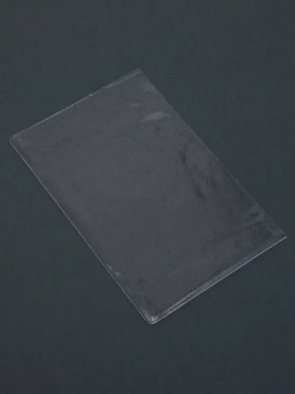 Чехлы для листов паспорта, прозрачный, 10 наборов в упаковке, 100 мкн.