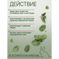 Набор, Domix: Пенный экспресс-размягчитель жидкое лезвие 170 мл + терка Light