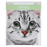 Тетрадь 36 листов в клетку, Calligrata &laquo;Кошки&raquo;, МИКС