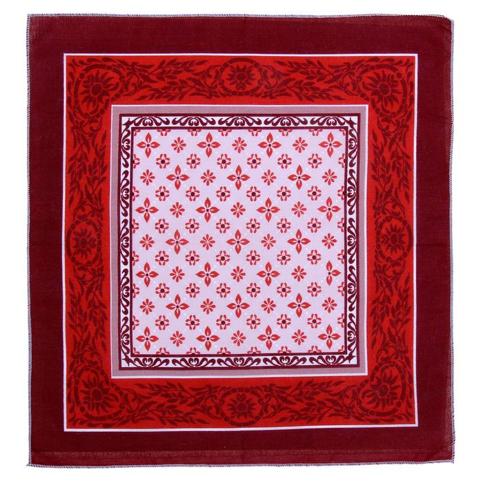 Мужские носовые платки  Мужские носовые платки "Этель" размер 30х30 см, (набор 12 шт,) цвет коричневый, рисунок МИКС