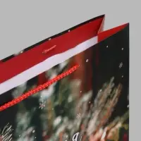 Пакет подарочный ламинированный &laquo;Время чудес&raquo;, L 33&times;42.5&times;10 см