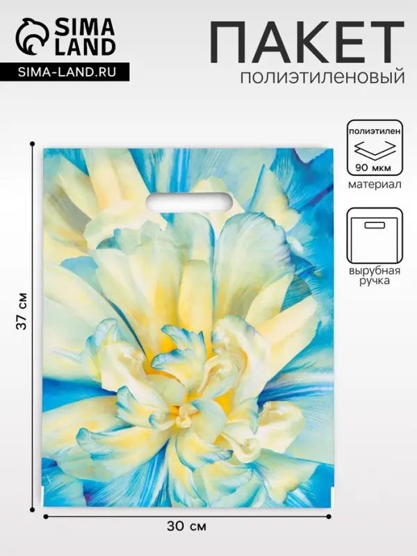 Пакет подарочный &laquo;Молли&raquo;, полиэтиленовый с вырубной ручкой, 30&times;37 см, 90 мкм