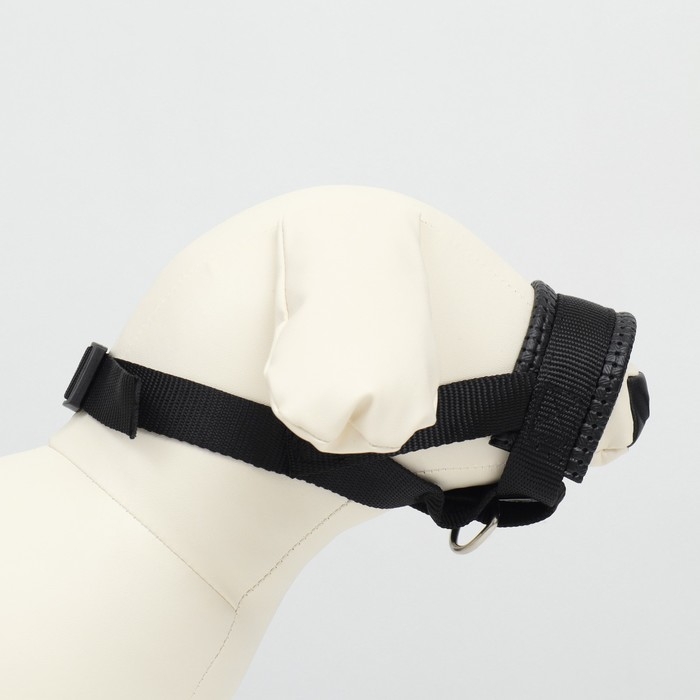 Недоуздок-намордник для собак с подкладом, размер M, ОM 15-26 см, ОШ 13-20 см, черный Недоуздок-намордник для собак с подкладом, размер M, ОM 15-26 см, ОШ 13-20 см, черный