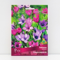 Бабиана прямая Смесь окрасок, луковица, 10 шт., р-р 5+