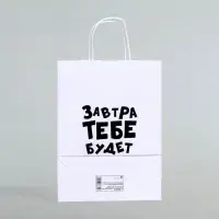 Пакет подарочный «Завтра тебе будет стыдно», 24×10.5×32 см, 1 шт.