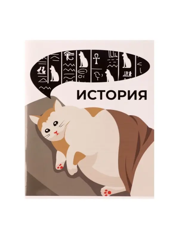 Предметная тетрадь по истории Calligrata &laquo;Животные мемы&raquo;, 36 листов, в клетку, со справочным материалом, обложка из мелованной бумаги