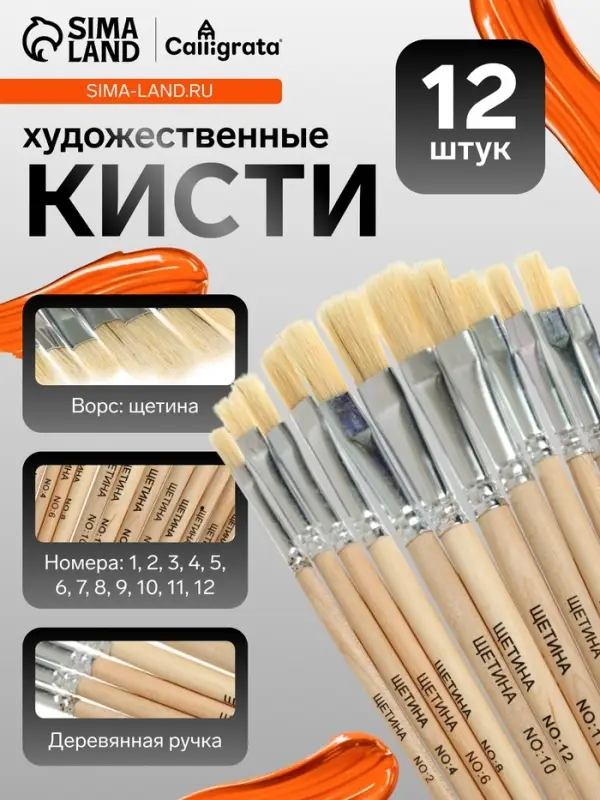 Набор кистей для рисования, щетина, 12 штук: № 1, 2, 3, 4, 5, 6, 7, 8, 9, 10, 11, 12, плоские, деревянная ручка, международный размер