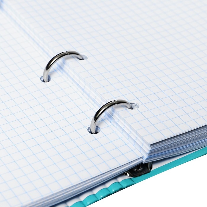 Тетрадь на кольцах А5 160 листов в клетку Тетрадь на кольцах А5 160 листов в клетку "Gussi", твёрдая обложка, глянцевая ламинация