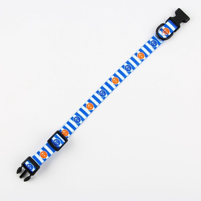 Ошейник «Для большого путешествия», застёжка - фастекс, 2 см 25-40 см Ошейник «Для большого путешествия», застёжка - фастекс, 2 см 25-40 см