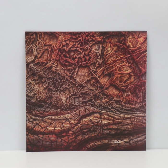 Фотофон двусторонний картон плотность 350 гр Фотофон двусторонний картон плотность 350 гр "Дерево" 50х50 см