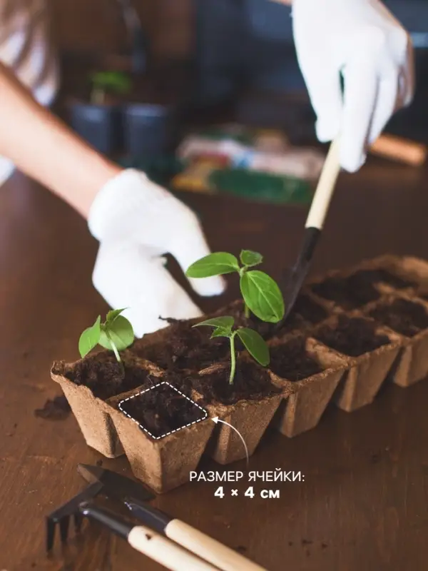 Набор для рассады: торфяная кассета, 24 ячейки по 50 мл, поддон 31&times;20 см, зелёный, пластик, Экоторф