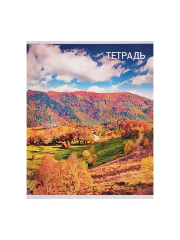 Набор тетрадей, 96 листов в клетку, Calligrata &laquo;Природа&raquo;, серые листы, 4 штуки