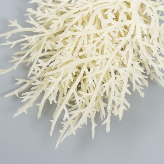 Искусственное растение для творчества Искусственное растение для творчества "Можжевельник" 1 букет=10 веточек белый 15 см