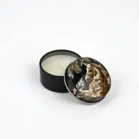 Набор свечей 2 шт. в железной банке «Лошади», аромат мандарин и еловые ветки, диам 4,8 см Набор свечей 2 шт. в железной банке «Лошади», аромат мандарин и еловые ветки, диам 4,8 см