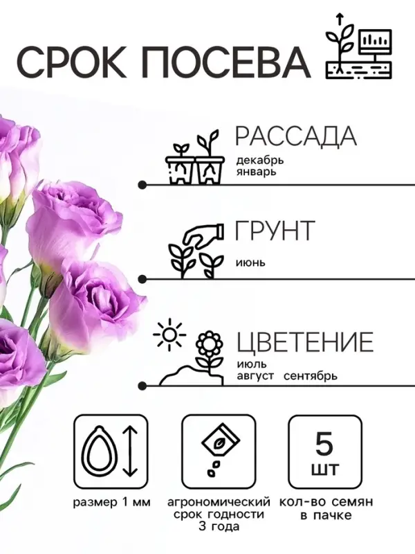 Семена цветов Эустома &laquo;Эйбиси&raquo;, F1, пурпурная крупноцветковая махровая, 5 шт., &laquo;Аэлита&raquo; селекция PanAmerican Seed