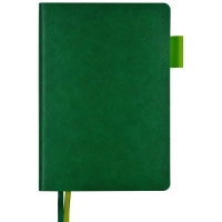 Ежедневник недатированный А5 BOSTON(ЗЕЛЕНЫЙ) 3-228/07
