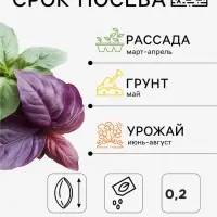 Семена Базилик зеленый &laquo;Лимонный аромат&raquo;, 0.2 г, &laquo;Сембат&raquo;