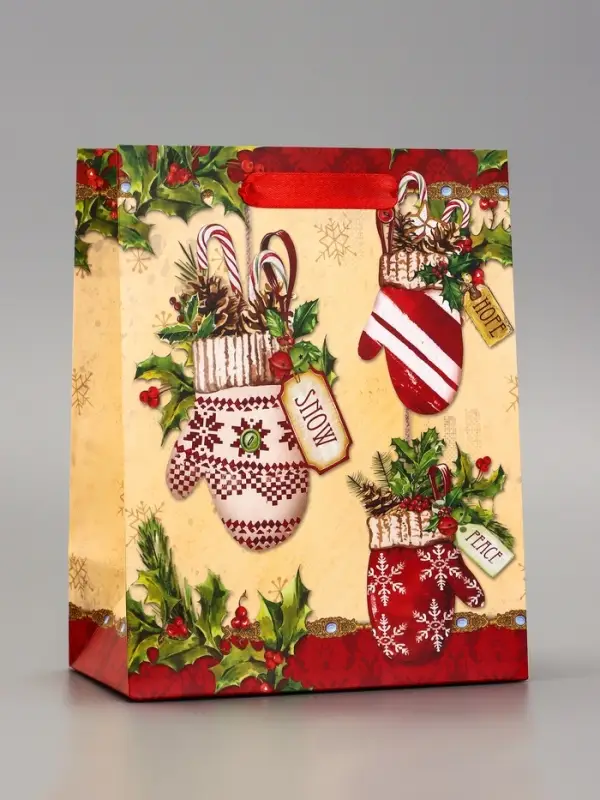 Пакет подарочный ламинированный Пакет подарочный ламинированный "Новогоднее настроение" 18 х 23 х 10 см