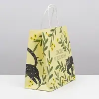 Пакет подарочный, упаковка, &laquo;Котейка&raquo;, 22 х 22 х 11 см