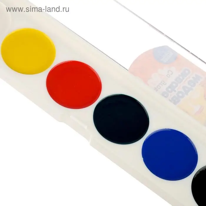 Акварель медовая Calligrata, 6 цветов, без кисти, пластик Акварель медовая Calligrata, 6 цветов, без кисти, пластик