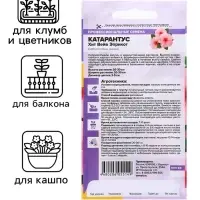 Семена цветов Катарантус &laquo;Хит Вейв Эприкот&raquo;, 5 шт., однолетник, &laquo;Семена Алтая&raquo;