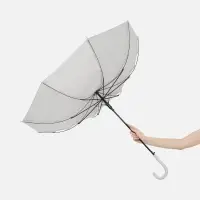 Зонт-трость Jolly Brolly, светло-серый