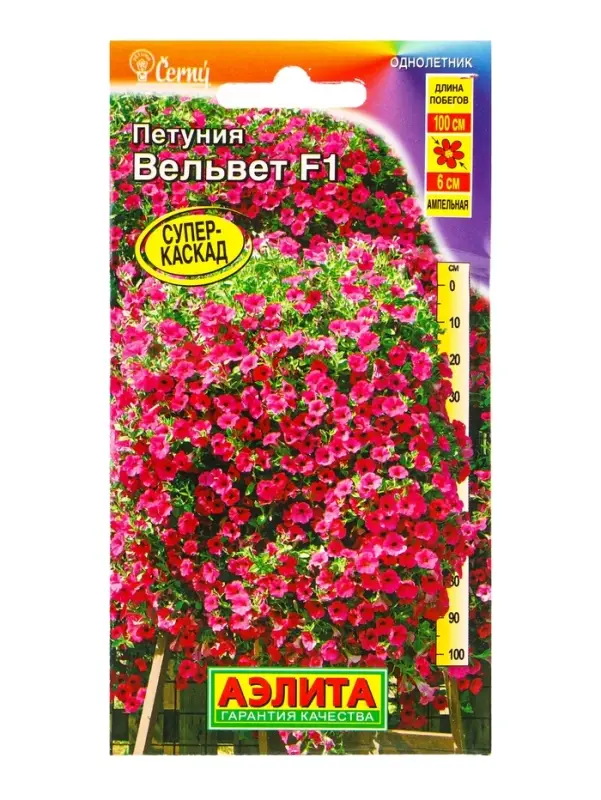 Семена цветов Петуния Вельвет F1 ампельная (драже в пробирке) С. Cerny, Ц/П,4 шт. Семена цветов Петуния Вельвет F1 ампельная (драже в пробирке) С. Cerny, Ц/П,4 шт.