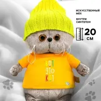 Мягкая игрушка &laquo;Кот Басик BABY в футболке и шапке&raquo;, 20 см