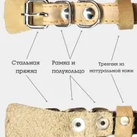 Ошейник, 35&times;1.5 см, подклад из ватина, кожа, бежевый