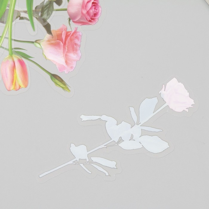 Наклейки пластик Наклейки пластик "Цветы и цитаты. Розовые" набор 12 шт 8,5х21,5х0,2 см