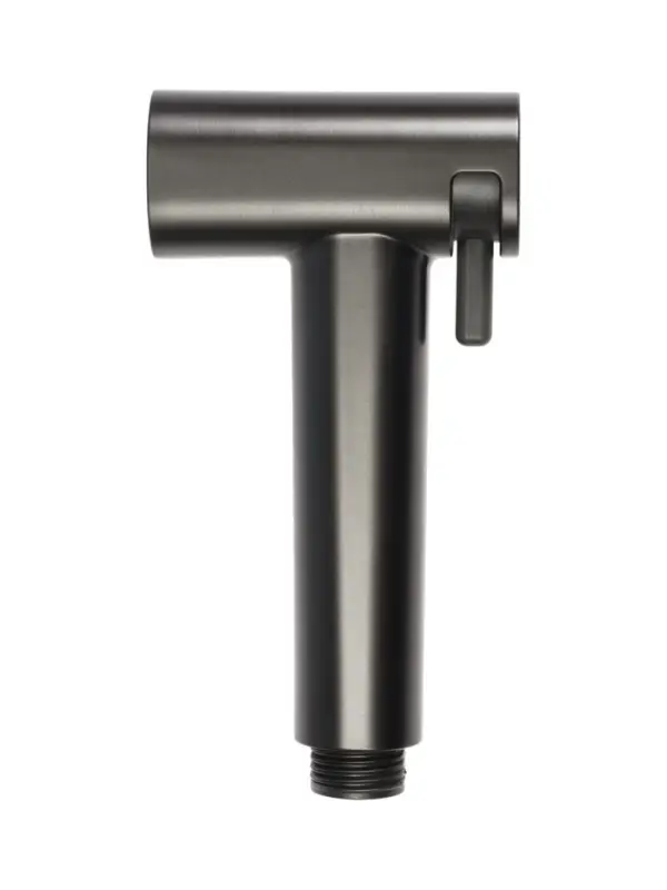 Гигиеническая лейка Accoona AF30501ST