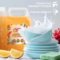 Средство для мытья посуды ARIC &laquo;Имбирный цитрус&raquo;, гель, безопасный состав, 3 л