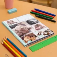 Дневник универсальный для 1-11 классов, &laquo;Котята&raquo;, твердая обложка 7БЦ, глянцевая ламинация, 40 листов