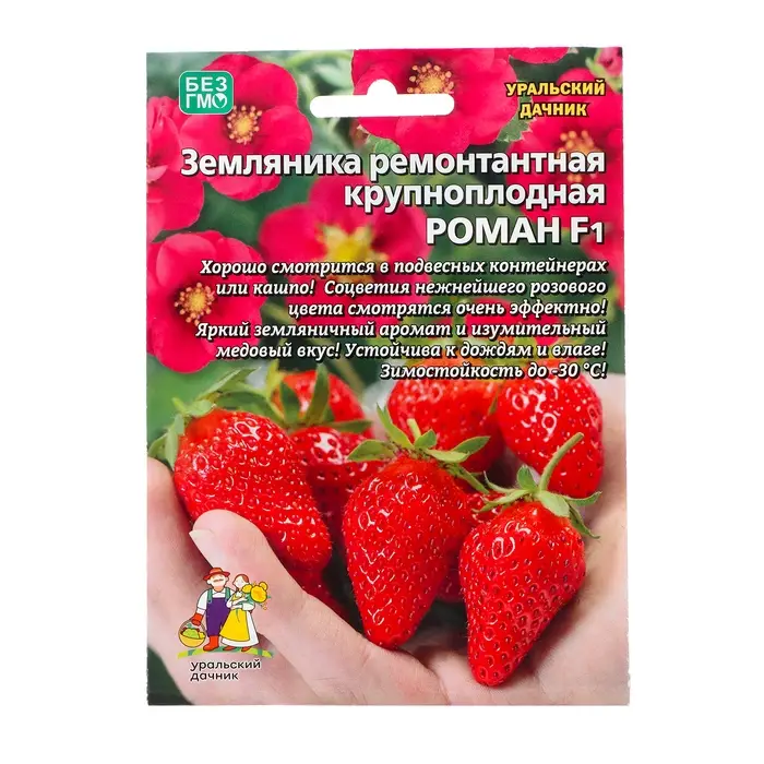 Семена Земляника  Семена Земляника "Роман" , 5 шт