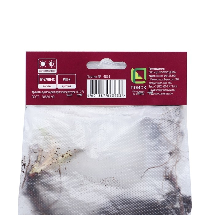 Астра новобельгийская «Фэллоушип»,корневище в торфогрунте, р-р I, 1 шт. Астра новобельгийская «Фэллоушип»,корневище в торфогрунте, р-р I, 1 шт.